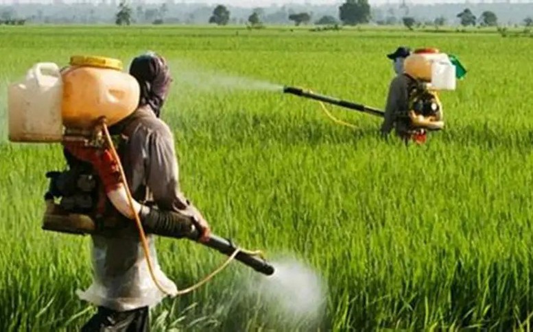 Chuyển mạnh từ 'tiền kiểm' sang 'hậu kiểm', tạo đà cho xuất khẩu nông sản
