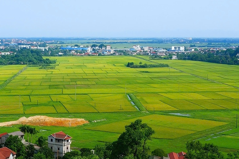 Kế hoạch triển khai cơ chế, chính sách đặc thù để xử lý vi phạm pháp luật về đất đai trước năm 2024- Ảnh 1.