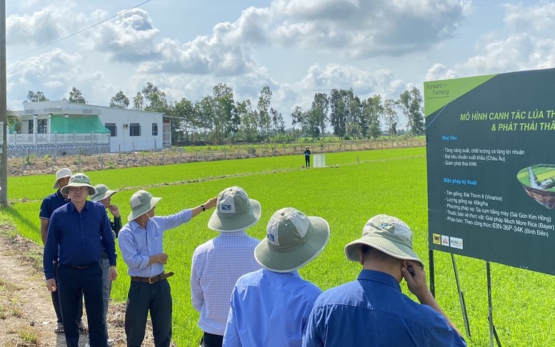 Xây dựng tiêu chuẩn quốc gia cho rau an toàn