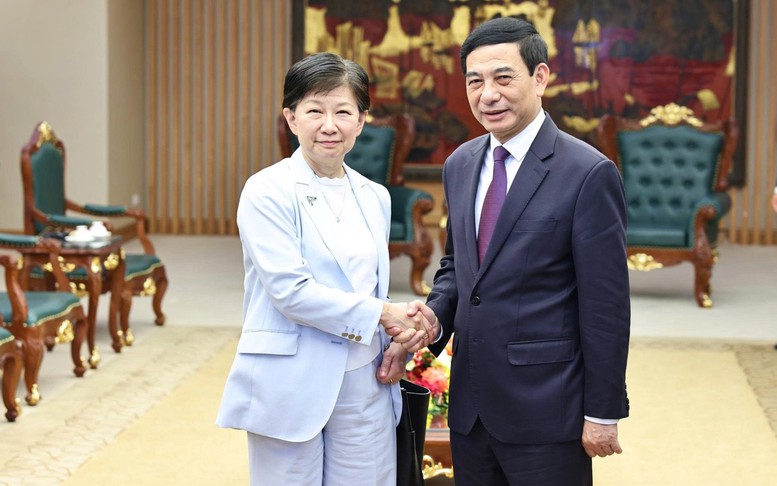 Phó Thủ tướng, Bộ trưởng Bộ Quốc phòng Phan Văn Giang tiếp Phó Tổng Thư ký Liên Hợp Quốc Izumi Nakamitsu
