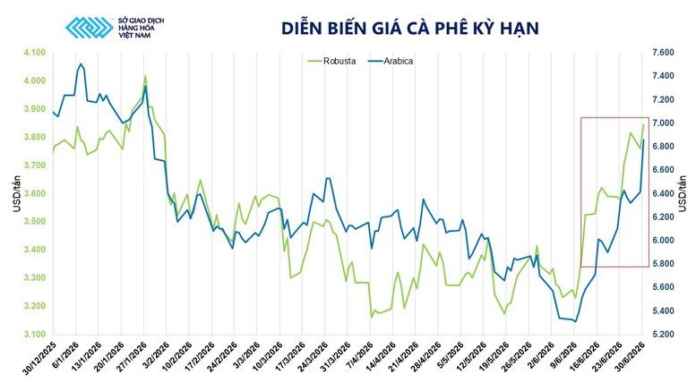 Brazil mưa lớn, giá cà phê Arabica tăng vọt- Ảnh 2.
