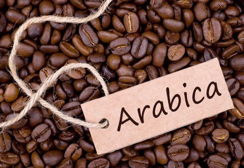 Brazil mưa lớn, giá cà phê Arabica tăng vọt- Ảnh 1.