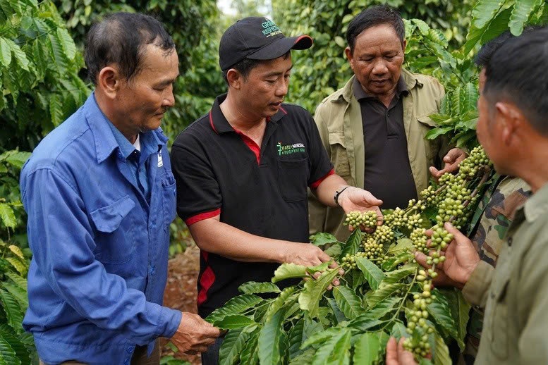 Nestlé Việt Nam: Nghị quyết 10 tạo động lực cho FDI đầu tư thực chất, dài hạn- Ảnh 3.