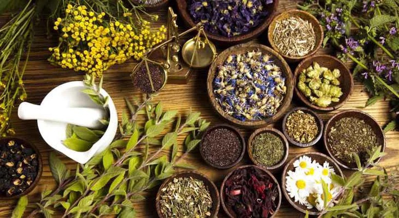 Chỉ đạo, điều hành của Chính phủ, Thủ tướng Chính phủ ngày 10/7/2026- Ảnh 2.