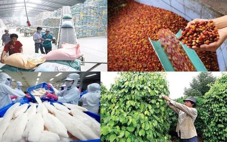 Xuất khẩu nông lâm thủy sản từ 70 đến 100 tỷ USD: Cần những bước đột phá mới