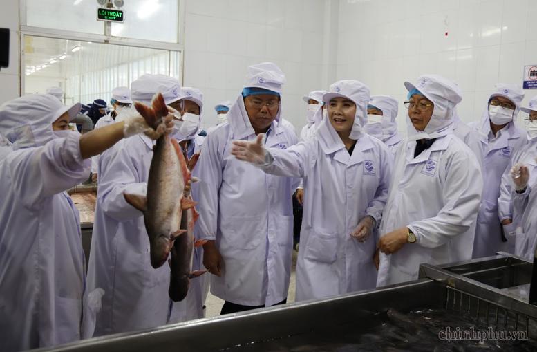 Xây dựng chuỗi liên kết bền vững, nâng cao giá trị nông sản và thủy sản Việt Nam- Ảnh 4.