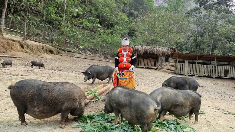 Khi bản làng trở thành ‘phim trường’- Ảnh 9.