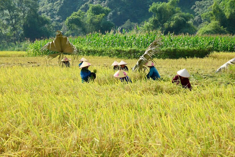 Khi bản làng trở thành ‘phim trường’- Ảnh 12.