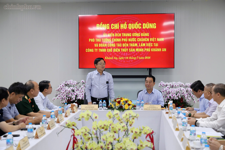 Phó Thủ tướng Hồ Quốc Dũng khảo sát tình hình sạt lở tại khu vực Gành Hào, Cà Mau- Ảnh 5.