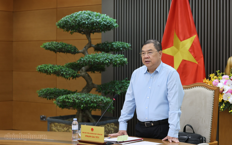 Phó Thủ tướng Thường trực Phạm Gia Túc: Khẩn trương hoàn thiện hồ sơ điều chỉnh chủ trương đầu tư Dự án điện hạt nhân Ninh Thuận