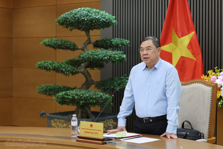 Phó Thủ tướng Thường trực Phạm Gia Túc: Khẩn trương hoàn thiện hồ sơ điều chỉnh chủ trương đầu tư Dự án điện hạt nhân Ninh Thuận- Ảnh 1.