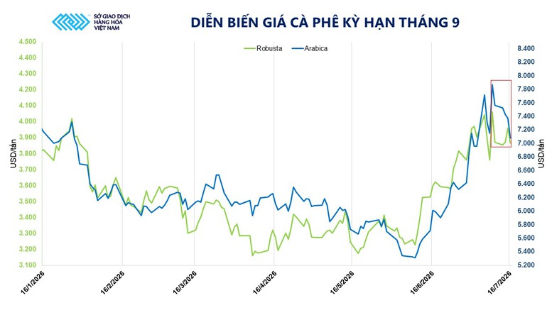 THỊ TRƯỜNG HÀNG HÓA: Cà phê trải qua đợt biến động giá mạnh- Ảnh 2.