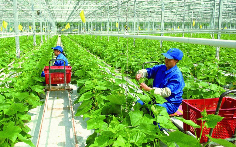 Chính sách về khuyến nông