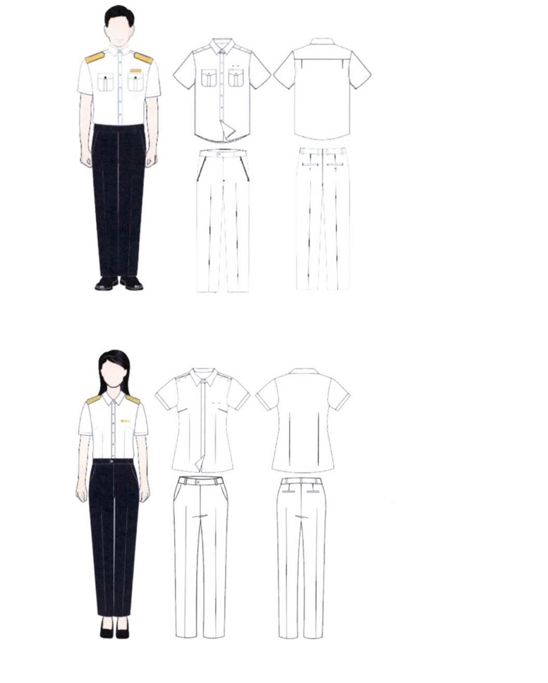 Quy định mới về phù hiệu, cấp hiệu, trang phục và biển hiệu của công chức thuế- Ảnh 1.