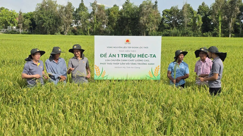 Bài 1: Người trồng lúa đã dám làm khác- Ảnh 1.