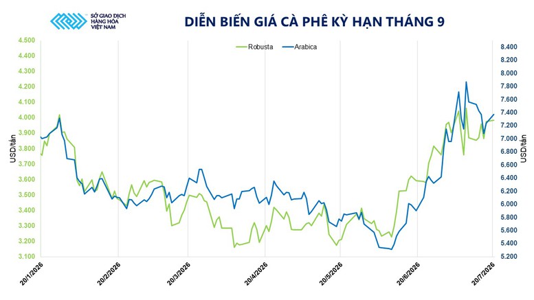 THỊ TRƯỜNG HÀNG HÓA: Tồn kho Arabica rơi xuống sát đáy lịch sử, giá cà phê đi lên- Ảnh 2.