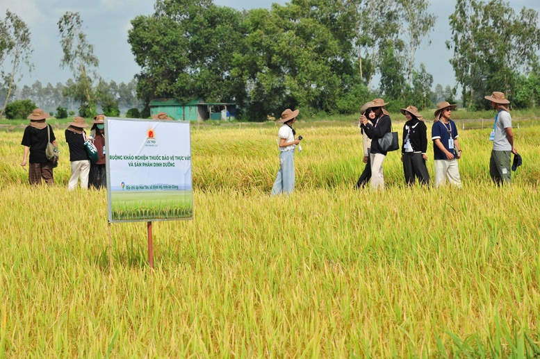 Lộc Trời đưa giống lúa Việt Nam sang Myanmar, mở rộng chuỗi giá trị lúa gạo khu vực- Ảnh 3.