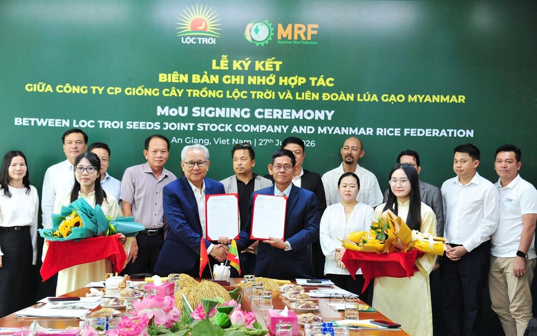 Lộc Trời đưa giống lúa Việt Nam sang Myanmar, mở rộng chuỗi giá trị lúa gạo khu vực
