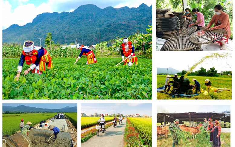 Chương trình công tác của BCĐ Trung ương thực hiện các Chương trình mục tiêu quốc gia