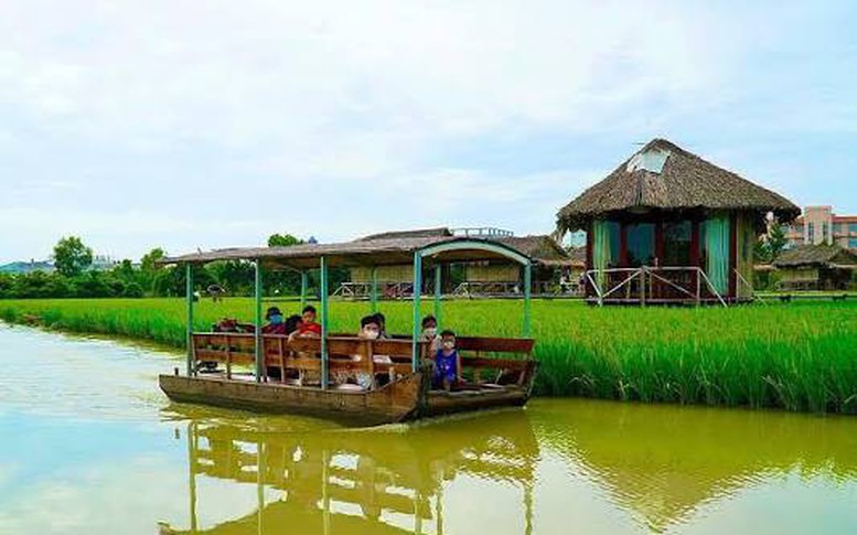 Các trường hợp phải nộp thuế sử dụng đất phi nông nghiệp
