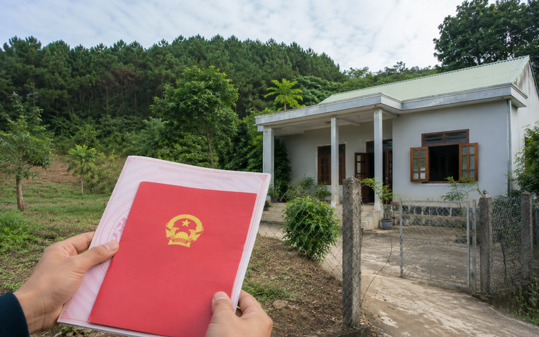 Đất lâm trường giao làm nhà ở trước 2004 có thể được cấp Giấy chứng nhận