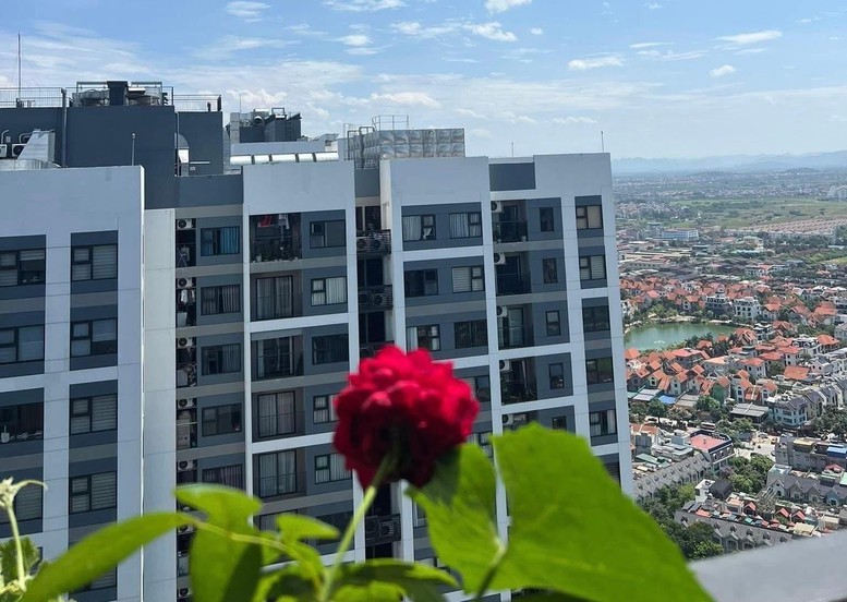Cấp bách sửa đổi Luật Nhà ở, Luật Kinh doanh bất động sản- Ảnh 2.