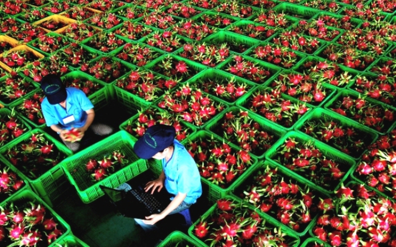 Ngoại giao phát huy vai trò cầu nối đưa nông sản Việt Nam sang thị trường Trung Quốc