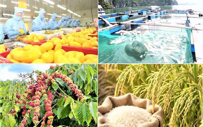 Hành động quyết liệt để đưa xuất khẩu nông, lâm, thủy sản vượt mốc 74 tỷ USD