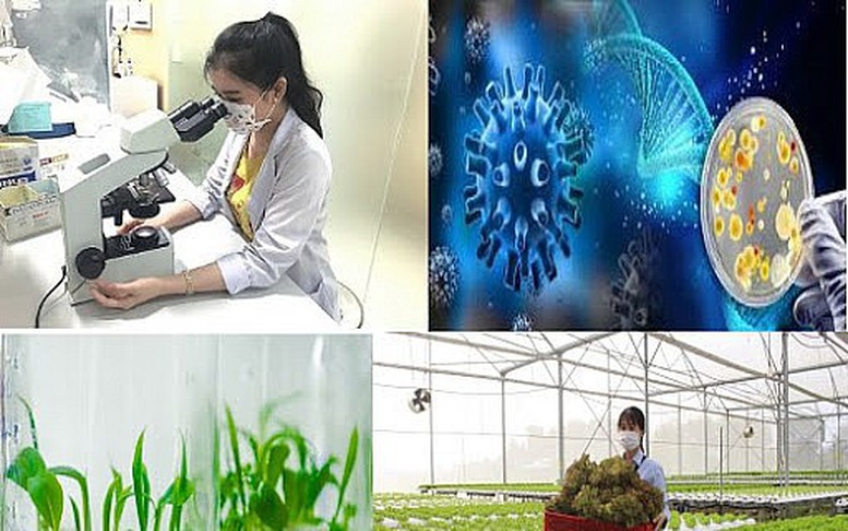 Phát triển công nghiệp sinh học ngành nông nghiệp và môi trường