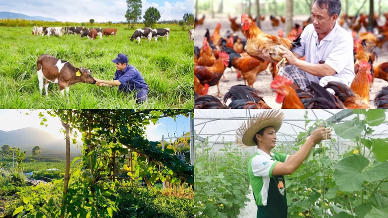 Chính sách mới có hiệu lực từ tháng 8/2026- Ảnh 1.