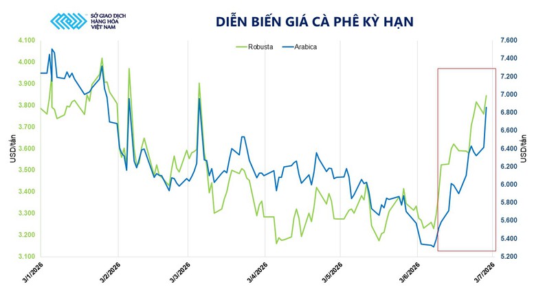 THỊ TRƯỜNG HÀNG HÓA: Giá cà phê nối dài đà tăng- Ảnh 2.