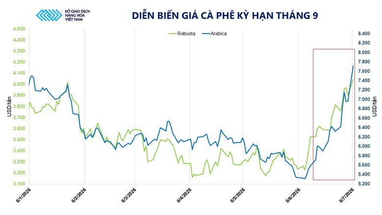 Giá cà phê lập đỉnh nhiều tháng do lo ngại El Nino- Ảnh 2.
