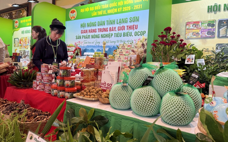 Giảm chi phí thể chế, tăng sức cạnh tranh cho nông nghiệp Việt