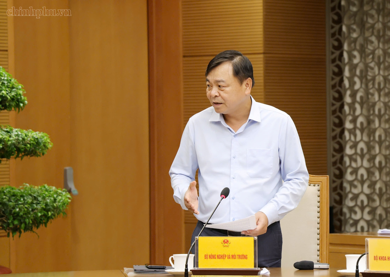 Chậm nhất ngày 15/7 trình Chính phủ Nghị quyết tháo gỡ điểm nghẽn xuất khẩu nông sản- Ảnh 2.