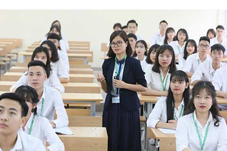 Ngưỡng bảo đảm chất lượng đầu vào đối với ngành đào tạo giáo viên cao nhất là 20,0 điểm- Ảnh 1.