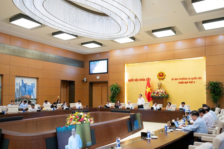 Thông qua nguyên tắc Pháp lệnh về thủ tục đưa người từ đủ 12 đến dưới 18 tuổi đi cai nghiện bắt buộc- Ảnh 1.
