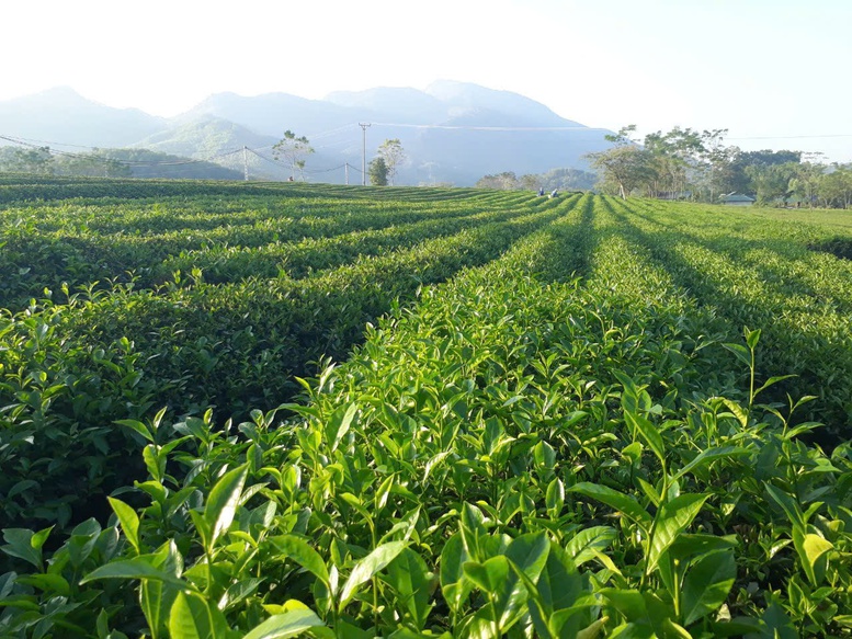 Trao quyền thực chất cho địa phương- Ảnh 2.