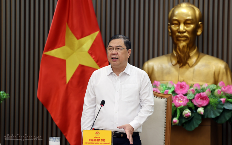 Phó Thủ tướng Thường trực Phạm Gia Túc: Nghiên cứu sửa đổi toàn diện Luật Đấu thầu, tháo gỡ vướng mắc từ thực tiễn- Ảnh 6.