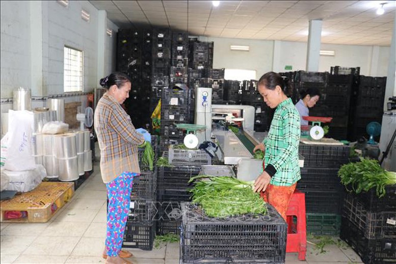 Phát huy hiệu quả tín dụng chính sách, tạo sinh kế bền vững cho người dân- Ảnh 1.