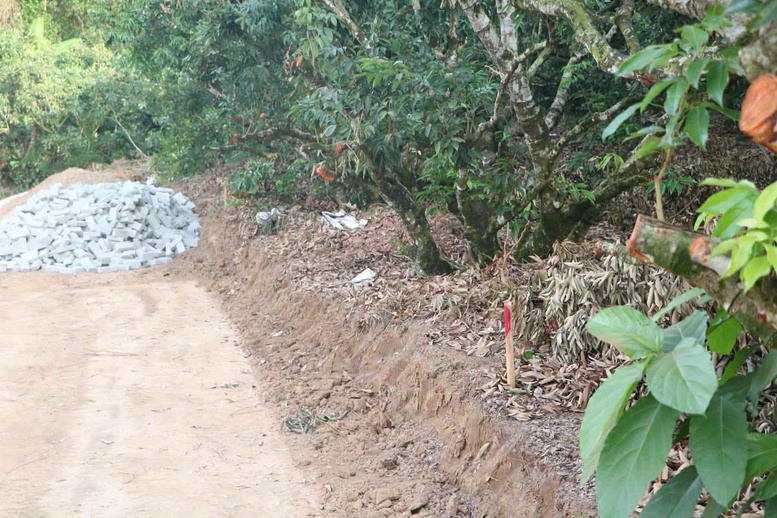 Đồng bào vùng cao: Hiến đất, chặt cây, mở lối để làm đường- Ảnh 2.