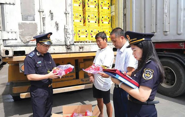 Nghỉ lễ 2/9 dài 5 ngày, hải quan trực 24/7 thông quan hàng hóa- Ảnh 1.