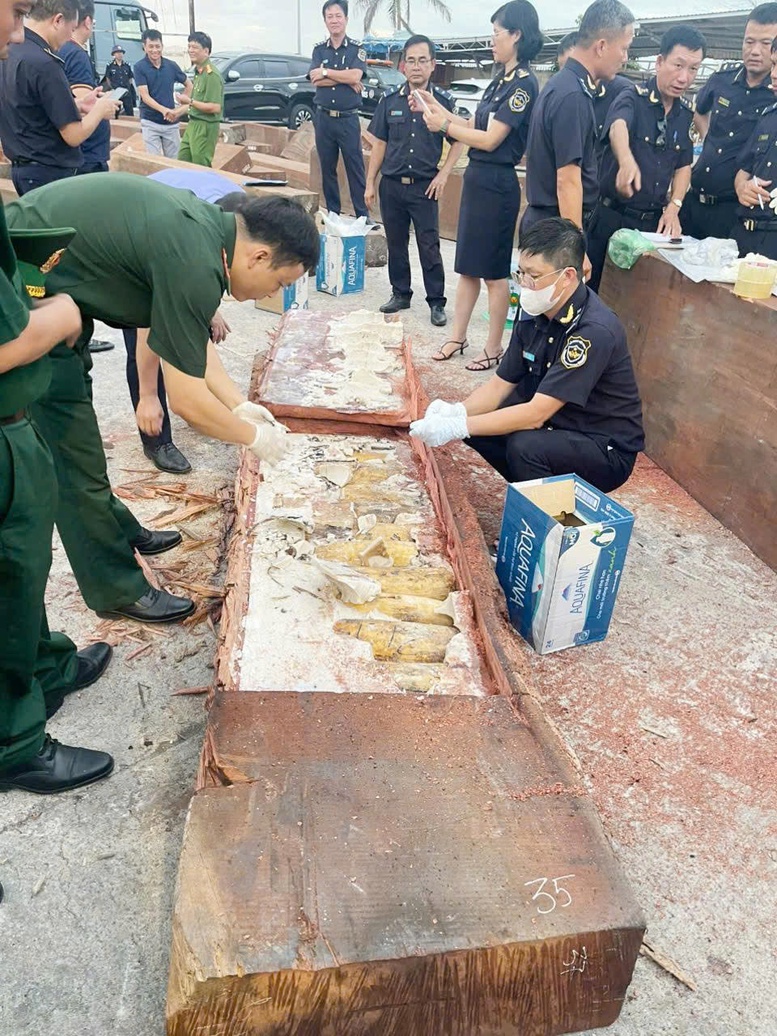 Hải quan bàn giao cho Công an vụ phát hiện 1,2 tấn ngà voi từ châu Phi- Ảnh 1.