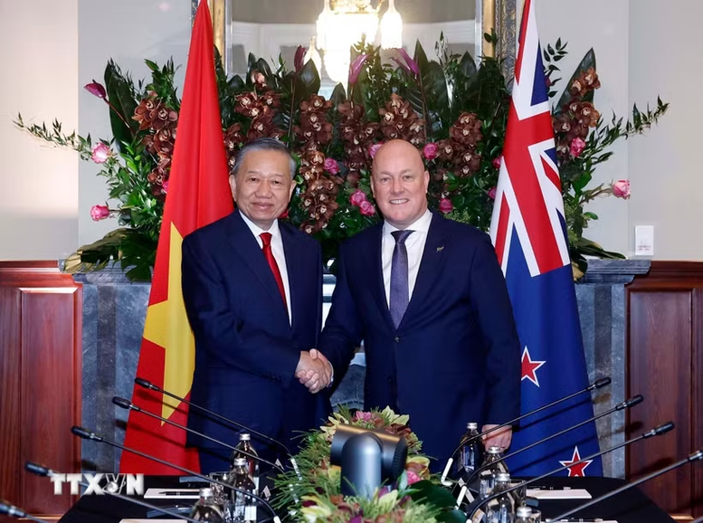 Phát triển toàn diện quan hệ giữa hai nước Việt Nam và New Zealand- Ảnh 1.