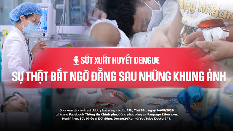 Sốt xuất huyết Dengue: Sự thật bất ngờ đằng sau những khung ảnh- Ảnh 3.