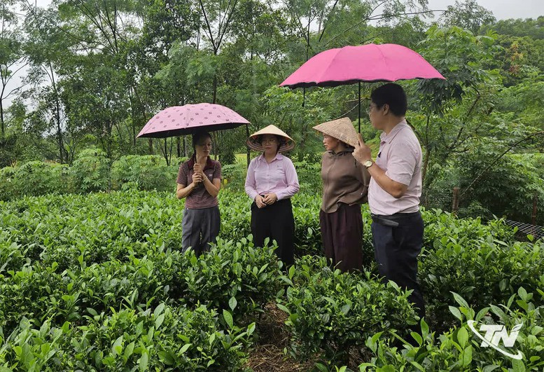Tín dụng chính sách tiếp sức người dân phát triển kinh tế, vươn lên thoát nghèo- Ảnh 1.