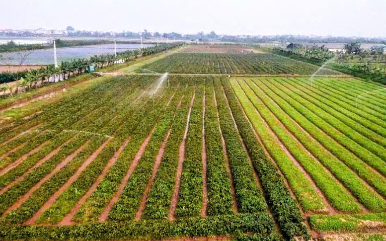 Hà Nội: Xây dựng dữ liệu đất đai đi trước một bước, tạo nền tảng quản trị hiện đại