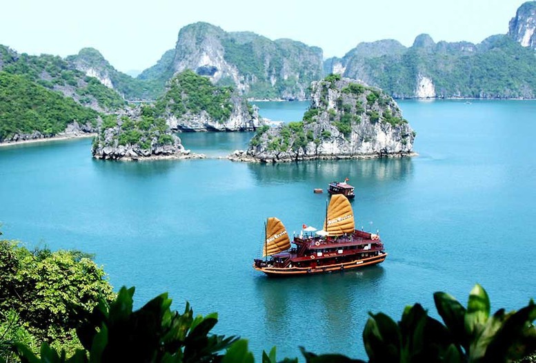 Mỗi địa điểm sẽ có mã định danh 12 chữ số, hiển thị trên VNeID- Ảnh 1.