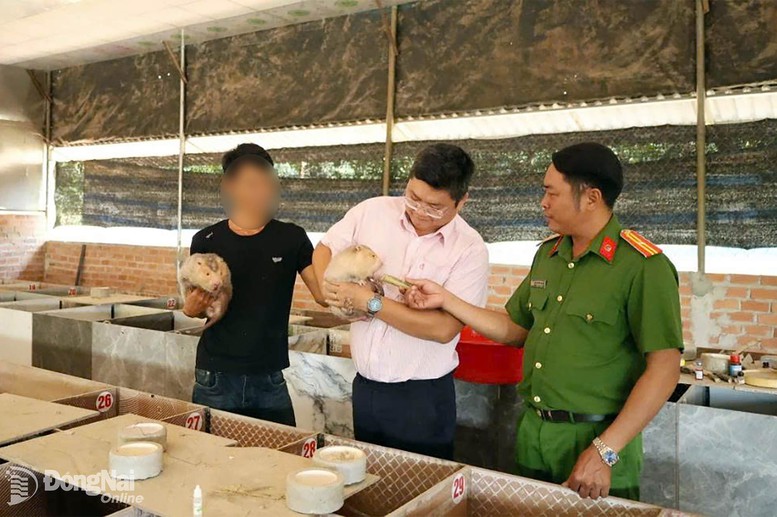 Mở lối hoàn lương bằng chính sách nhân văn- Ảnh 1.