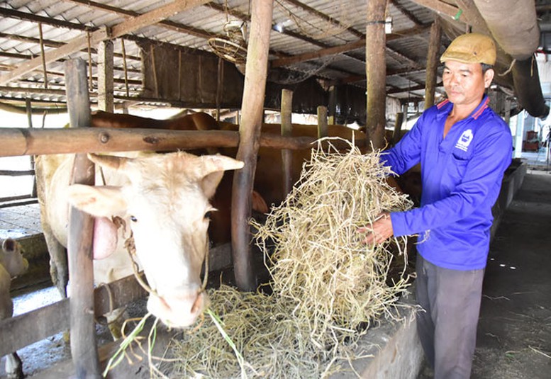 Đồng bào Khmer thoát nghèo từ nguồn vốn tín dụng chính sách- Ảnh 2.