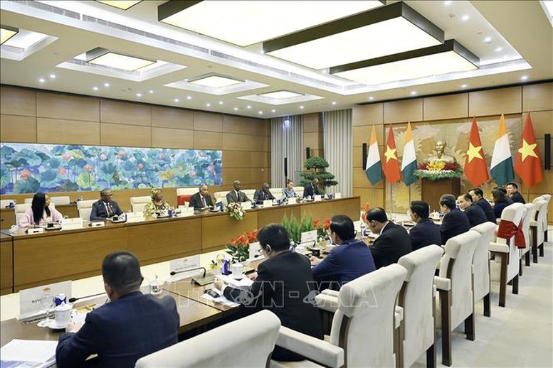 Hợp tác nghị viện là trụ cột, nền tảng quan trọng trong quan hệ Việt Nam - Côte d’Ivoire- Ảnh 7.